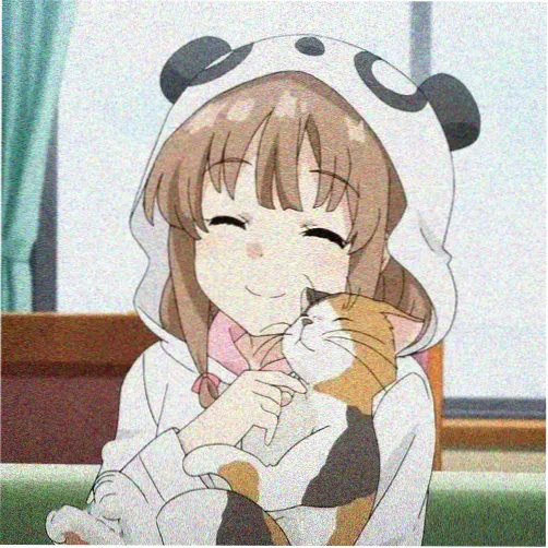 读者木野的头像